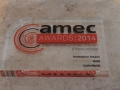 AMEC Summit Awards (37)