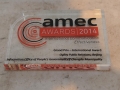 AMEC Summit Awards (39)